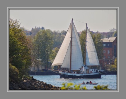 Teilnehmer der Flensburger Rumregatta 2016