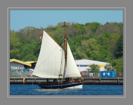 Die Mytilus ist ein deutscher Gaffelkutter mit Heimathafen Hamburg-Övelgönne und segelt mit Pfadfinder- und Jugendgruppen auf Ost- und Nordsee Das Schiff wurde 1939 auf der Dawartz-Werft in Tönning als Krabbenkutter aus Holz gebaut und als Alice in Dienst gestellt. Es wurde bis 1975 kommerziell genutzt und dann verkauft. Der neue Name des Schiffes wurde Harmattan, nach einem Passatwind in Westafrika. Anfang 1987 kaufte der heutige Betreiber-Verein das Schiff und nutzte es für Fahrten auf Elbe und Ostsee. Es stellte sich jedoch bald heraus, dass der Holzrumpf dringend renovierungsbedürftig war. Zunächst war eine Renovierung vorgesehen, schließlich wurde das Schiff aber aufgrund vieler Mängel von 1989 bis 1996 nach historischem Vorbild nachgebaut. Dabei konnten nur wenige Originalteile wiederverwendet werden. Der Nachbau wurde im Frühjahr 1996 zu Wasser gelassen. Der neue Name des Schiffes wurde Mytilus, der lateinische Name der Miesmuscheln.