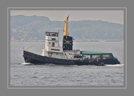 1954 als ''Bugsier 9'’ auf der Jadewerft, Wilhelmshaven für die Bugsier, Reederei– und Bergungs-GmbH, Hamburg gebaut 1969 umgebaut 1971 in Hamburg aufgelegt 30. April 1973 umbenannt in ''Flensburg'', neuer Eigner Flensburger Schiffsbau Gesellschaft 1992 im Besitz einer Buxtehuder Reederei an die Elbe und wechselte abermals den Eigner. 1992 – 2000 im Einsatz für für das Wasser- und Schifffahrtsamt in Glückstadt 2000 – 2014 im Besitz eines kleinen Vereins der sich um die Erhaltung des Schleppers kümmert, 2014 Übergabe an den Historischen Hafen Flensburg gGmbH