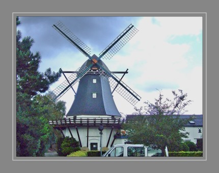 In Tarp befindet sich  die Galerieholländerwindmühle Antje aus dem Jahr 1882, die nach der Ehefrau eines Malermeisters benannt wurde. In der Mühle haben eine mühlengeschichtliche und eine Ausstellung über Vor- und Frühgeschichte ihren Sitz. In der Mühle wurde im Jahre 2008 ein Trauzimmer eingerichtet.