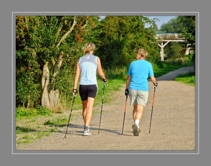 Nordic Walking ist eine Ausdauersportart, bei der das schnelle Gehen durch den Einsatz von zwei Stöcken im Rhythmus der Schritte unterstützt wird. Es kann als jüngere Variante des Breitensports Walking angesehen werden. Der Einsatz von Stöcken macht aus Walking ein Training, bei dem zusätzlich die Muskulatur des Oberkörpers beansprucht wird. Nordic Walking ist für ambitionierte Sportler ebenso geeignet wie für untrainierte Menschen. Die Gelenke werden jedoch, entgegen anders lautenden Behauptungen, mehr belastet als beim normalen Spazieren