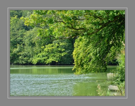 DSCF6009  Stille Bucht am Schloßteich