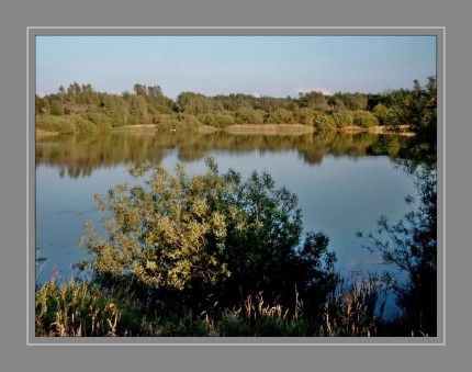 Ein Baggersee (auch Baggerloch, Kiesgrube, in Österreich Schottergrube) ist ein künstlich angelegter See, der in der Regel auf den Abbau von Kies oder Sand als Baumaterial zurückgeht.  Die Abbaulöcher werden entsprechend der gesetzlich geforderten Renaturierung meist landschaftlich gestaltet. Fast immer wird der See durch die Angelfischerei genutzt, da gesetzlich mit jedem Oberflächengewässer ein Fischereirecht entsteht.