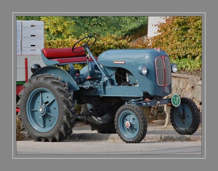 Danhorse ist ein dänischer Traktor, der 1954-1957, vom Maschinenhersteller P. Jorgensen, produziert wurde. Motor und Reifen kamen aus dem Ausland, der Rest der Komponenten wurden in Dänemark hergestellt. Das Leergewicht des Traktors beträgt 1020 kg. Danhorse hatte fünf Vorwärtsgänge und einen Rückwärtsgang. 
