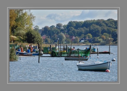 Am Schleswiger Holm