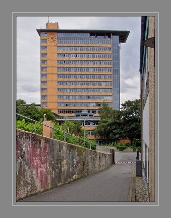 Das Rathaus in Flensburg, welches vom Architekten Carl-Friedrich Fischer entworfen wurde, ist Sitz der Ratsversammlung sowie des Oberbürgermeisters von Flensburg und beherbergt zudem große Teile der Stadtverwaltung wie auch das Stadtarchiv. Darüber hinaus werden seit dem 1. Januar 2008 aufgrund einer Verwaltungsgemeinschaft auch die Verwaltungsgeschäfte von Glücksburg mitgeführt. Das Rathaus liegt am Rande der Flensburger Innenstadt an einem der Hauptverkehrswege der Stadt.