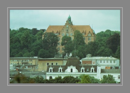 Analogfoto Pentax ME Tokina RMC 80-200mm; f= 4,5 Scan vom Negativ Kodak Gold 200 (belichtet mit 125 ASA)